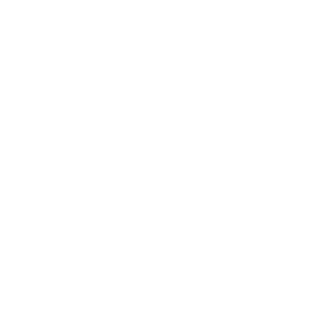 Mountaineer